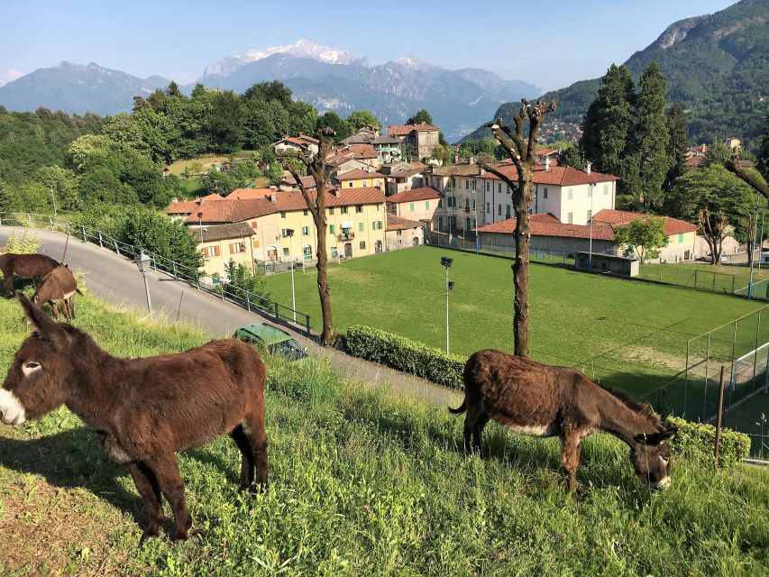 Lake Como to Lake Lugano: E-Bike Three Panoramic Lakes - Why this route gets beyond Lake Como’s postcard view