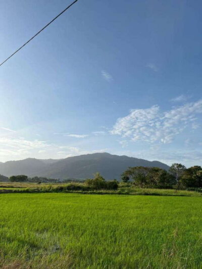 Langkawi: Countryside Bike Tour, Waterfall Swim & Dessert