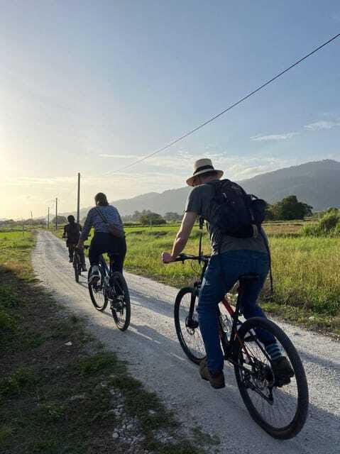 Langkawi: Countryside Bike Tour, Waterfall Swim & Dessert - Who will get the most from this tour