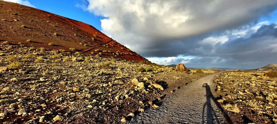 Lanzarote E-Bike Tour: Volcano Craters & Scenic Vineyards - Who should book this ride?