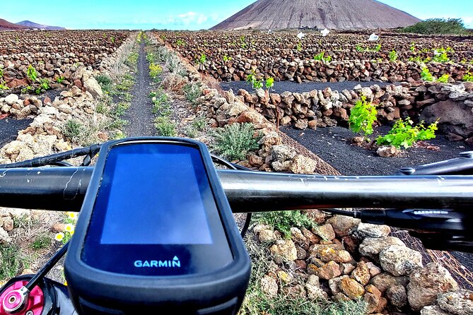 Lanzarote E-Bike Tour: Volcano Craters & Scenic Vineyards - La Geria, where vines grow in volcanic ash
