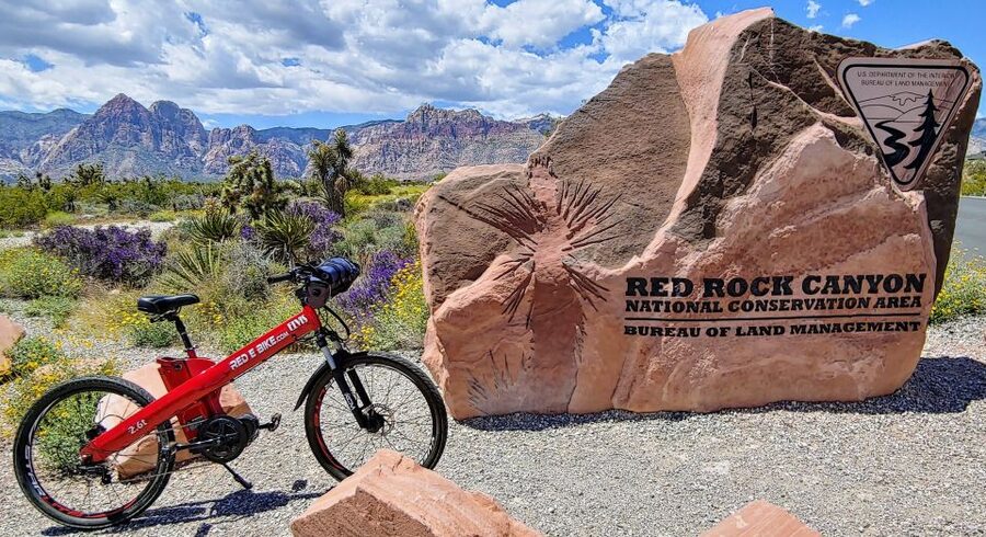 Las Vegas 3-Hour Red Rock Canyon Electric Bike Tour - Sandstone formations, desert plants, and possible wildlife