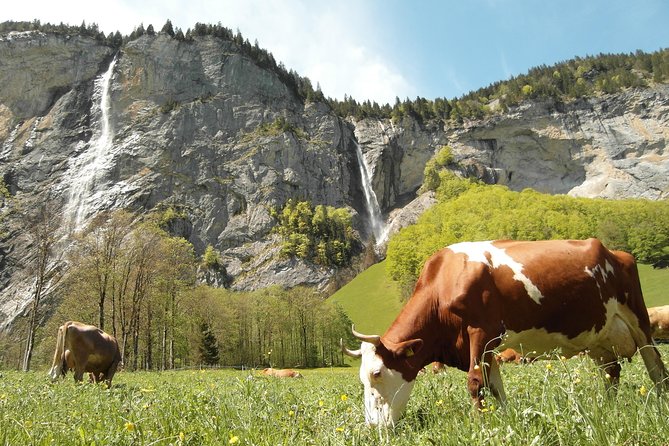 Lauterbrunnen Valley Waterfalls E-bike Tour with Swiss Picnic - The Return Ride and Lake Brienz Ice Cream Stop