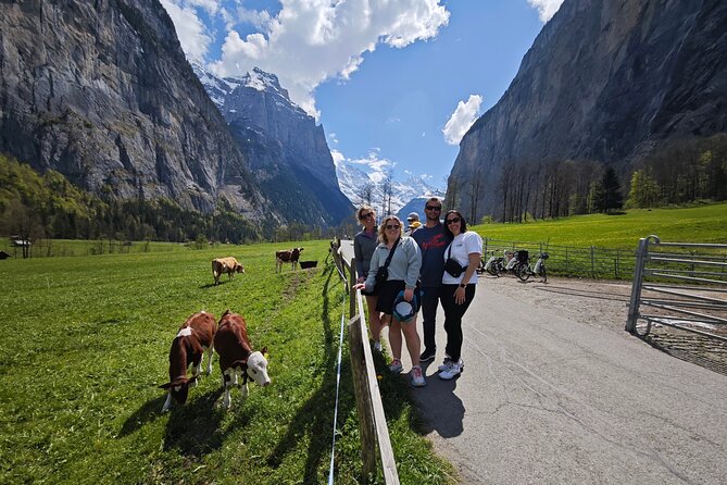 Lauterbrunnen Valley Waterfalls E-bike Tour with Swiss Picnic - Price and What You Receive for $344.31