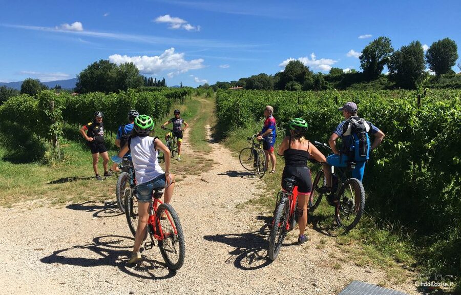 Lazise: Bike Tour and Wine Tasting - Getting comfortable on the e-bike