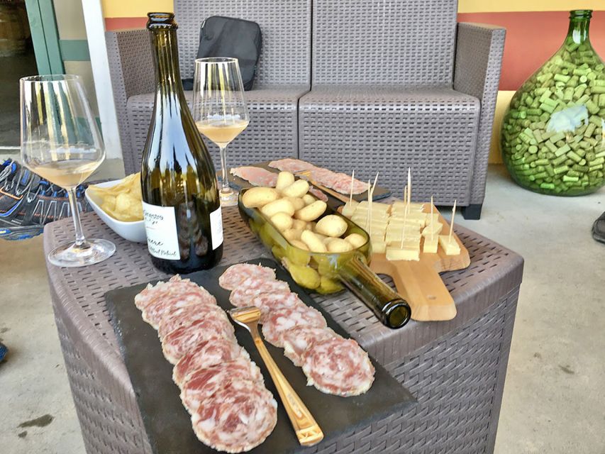 Lazise: Bike Tour and Wine Tasting - Riding through vineyards and olive groves