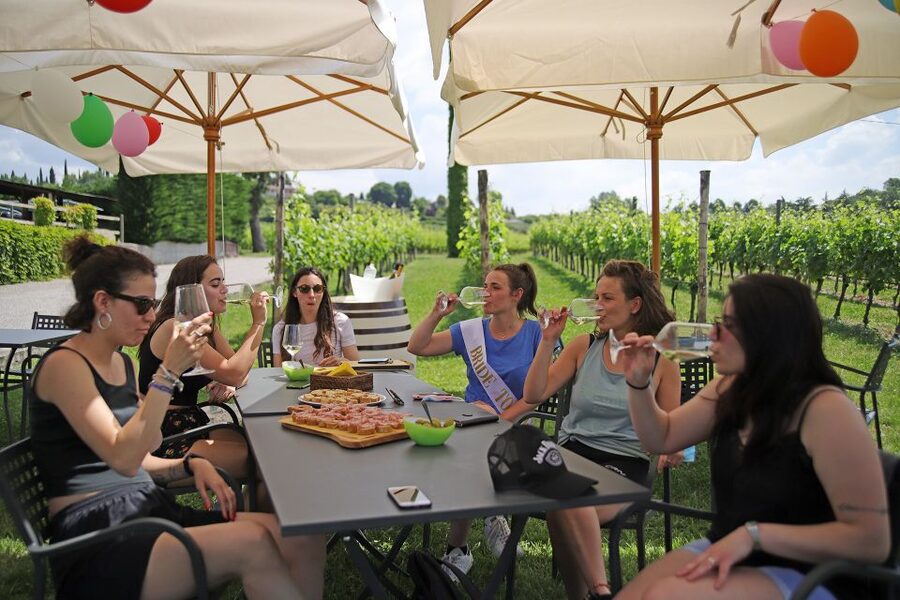 Lazise: Bike Tour and Wine Tasting - Meeting at Le Ginestre Winery