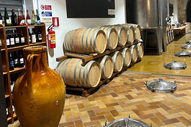 Lecce to Galatina E-Bike: Olive Mill & Wine Tasting + Taxi back - The second ride into Galatina