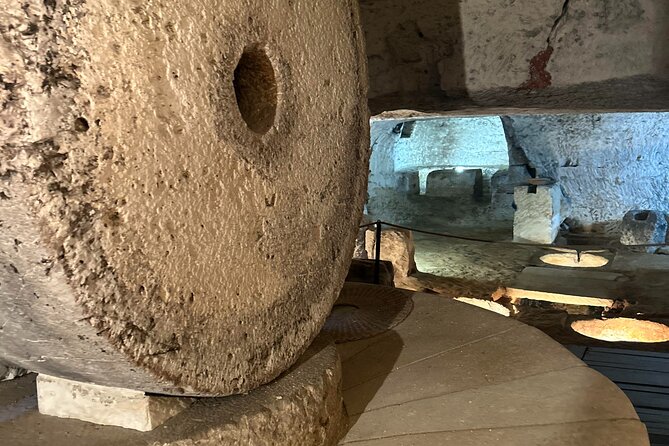 Lecce to Galatina E-Bike: Olive Mill & Wine Tasting + Taxi back - Who should book this ride