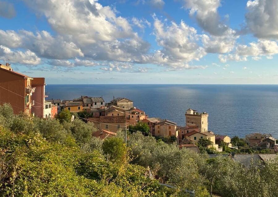 Levanto: Guided E-Bike Tour in Framura with Wine & Focaccia - Down to the Mare e Monti cycle path