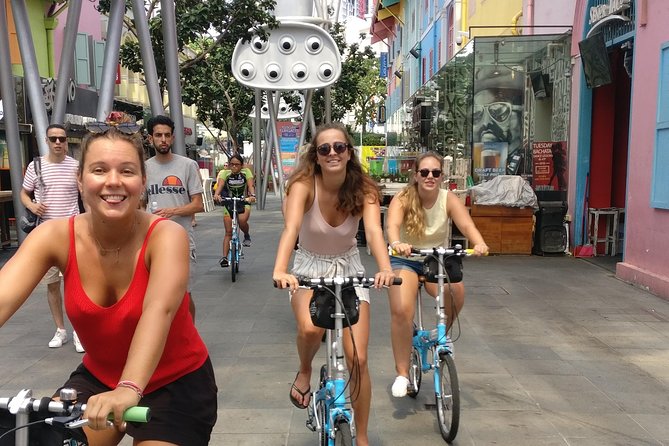 Lion City Bike Tour of Singapore - Starting near Nicoll Highway at 9 a.m.