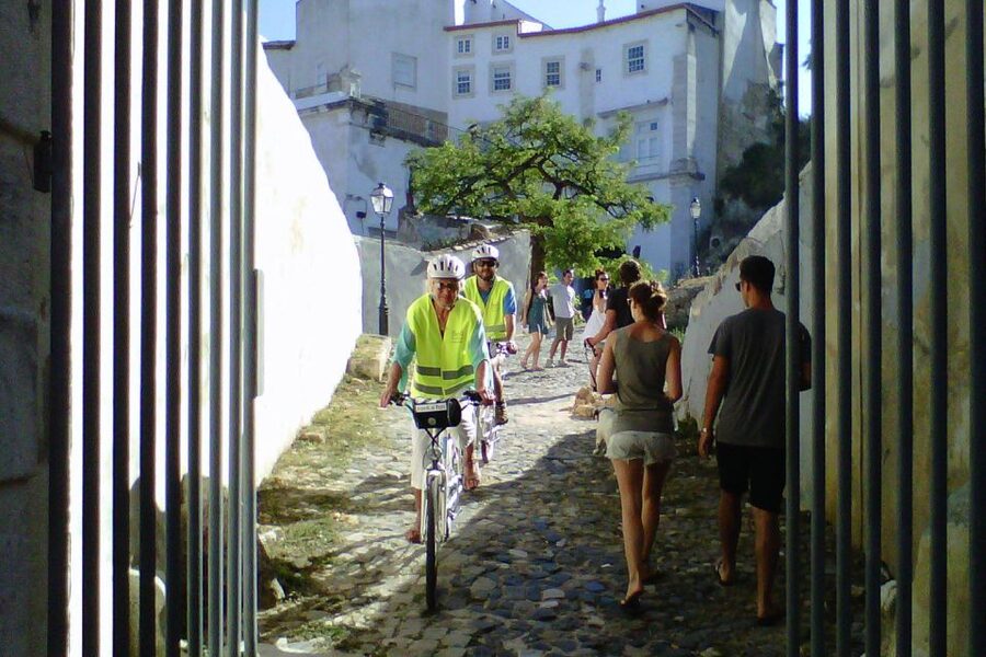 Lisbon: 7 Hills Half-Day Electric Bike Tour - Views from Chão do Loureiro and Graça