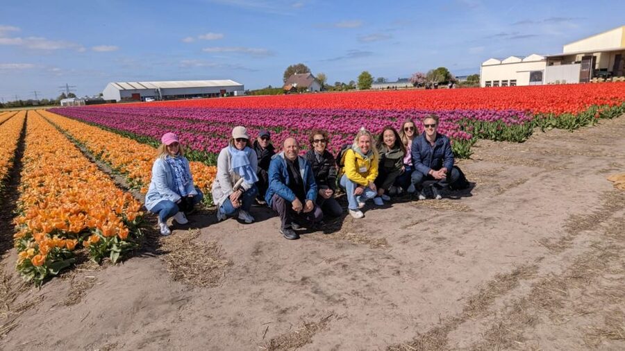 Lisse: Enjoy the Tulip Fields by Bike with a Local Guide! - What makes this Lisse bike tour worth considering