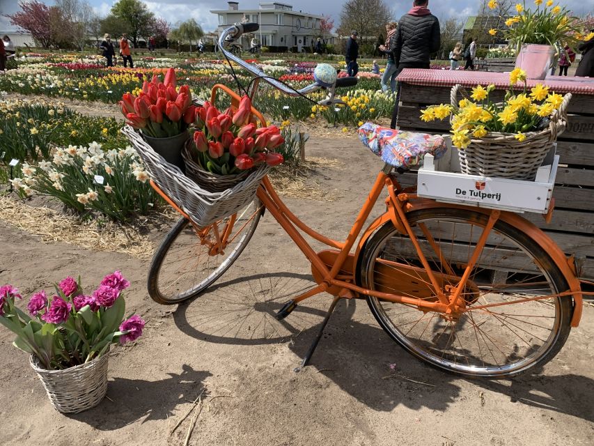 Lisse: Enjoy the Tulip Fields by Bike with a Local Guide! - Is the cycling pace right for you?