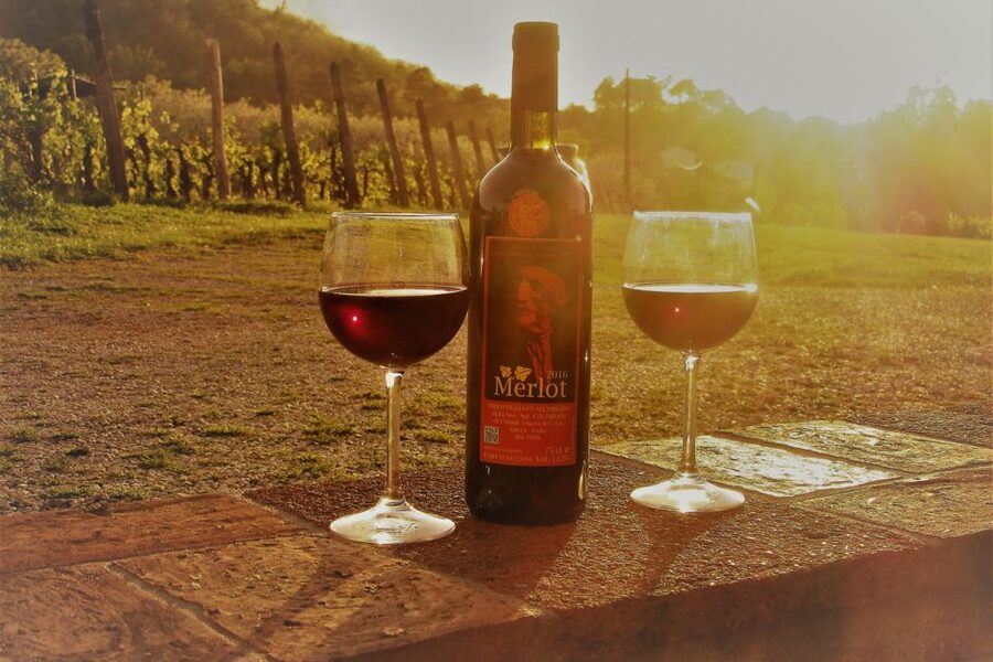 Lucca: Guided E-Bike and Wine Tour - Key points at a glance