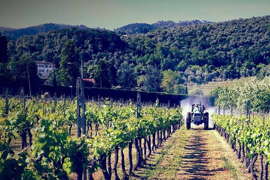 Lucca: Guided E-Bike and Wine Tour - Why this Lucca e-bike and wine tour works