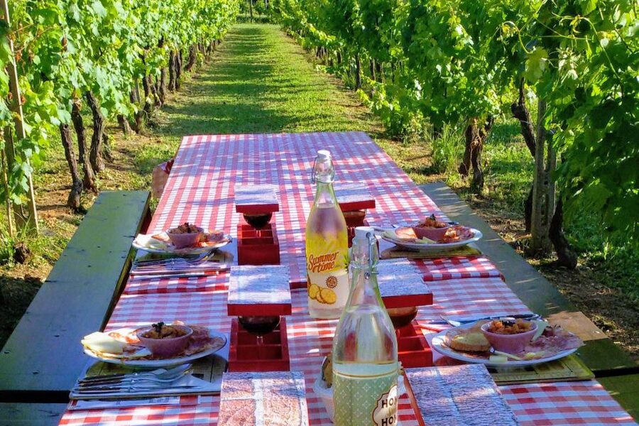 Lucca: Guided E-Bike and Wine Tour - At the family winery