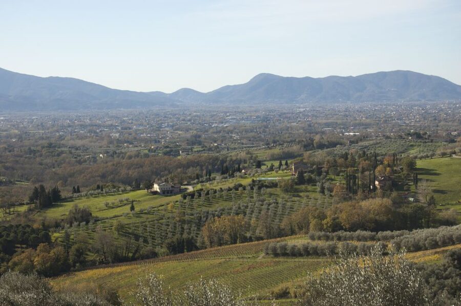 Lucca: Guided E-Bike and Wine Tour - Timing, group feel, and what the 3.5 hours includes