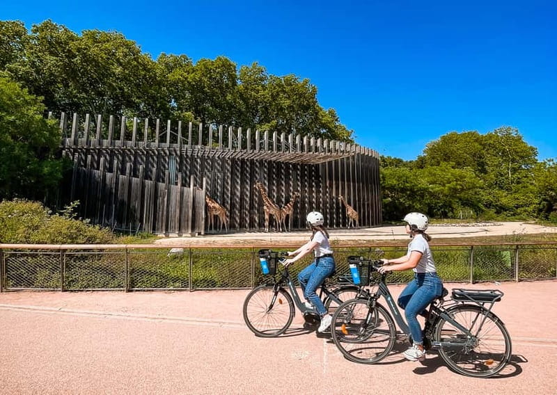 Lyon: Guided City Bike Tour - Confluence shows Lyon’s newer side