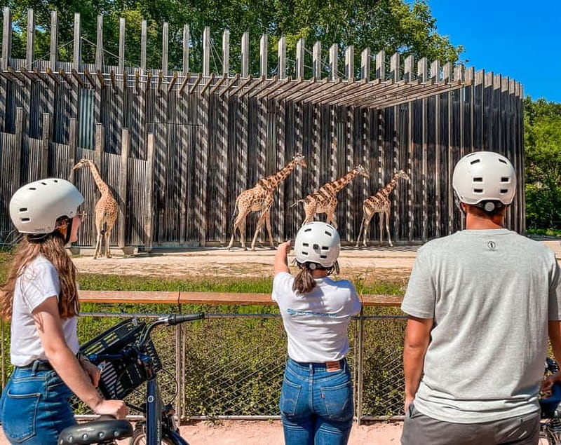 Lyon: Guided City Bike Tour - The guide shapes the experience