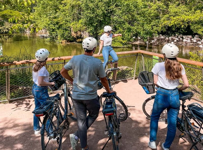 Lyon: Tête d'Or park on an electric bike Tour - Along the Saône quays