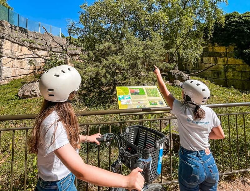 Lyon: Tête d'Or park on an electric bike Tour - Tête d’Or Park, Lyon’s green lung