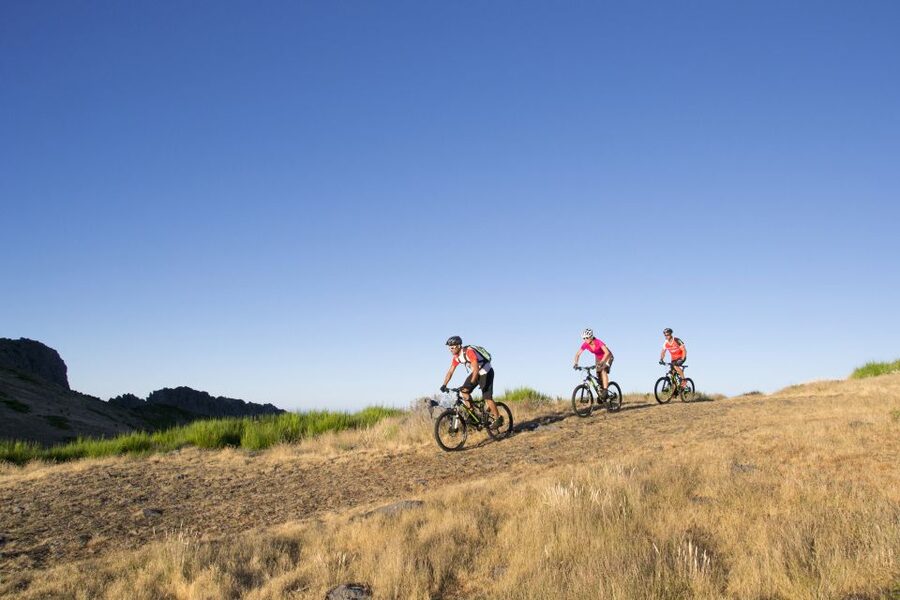 Madeira Botanical Levels Bike Tour – Scenic Trail Experience - From Poiso at 1,400 meters, the ride starts gently