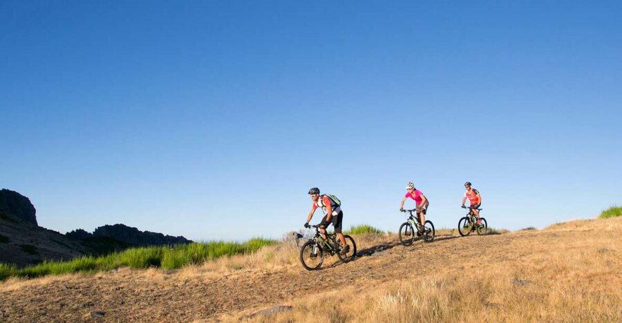 Madeira Botanical Levels Bike Tour – Scenic Trail Experience - The levada section brings the calmest riding
