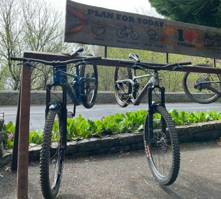 Madeira Botanical Levels Bike Tour – Scenic Trail Experience - The bikes and safety gear are part of the value