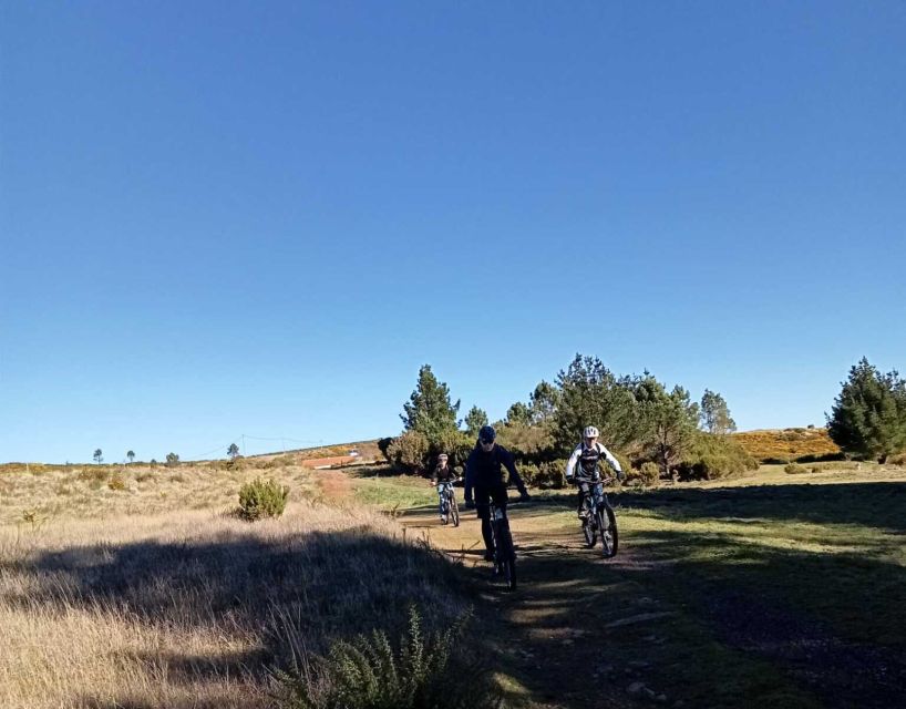 Madeira Botanical Levels Bike Tour – Scenic Trail Experience - A small group keeps the route flexible