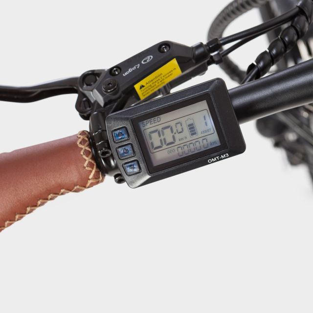 Madrid: Guided Electric Bike Tour. City center & Retiro Park - Key points to know before booking