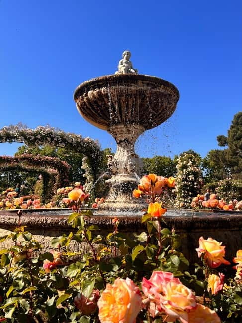 Madrid: Magic Retiro Park Bike Tour - Why a Retiro bike tour makes sense