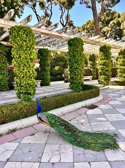 Madrid: Magic Retiro Park Bike Tour - Cecilio Rodriguez Gardens and the peacocks