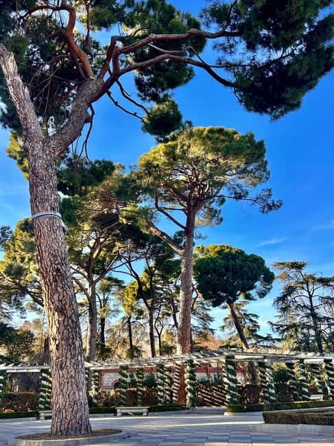 Madrid: Magic Retiro Park Bike Tour - The Fallen Angel and the Forest of Remembrance