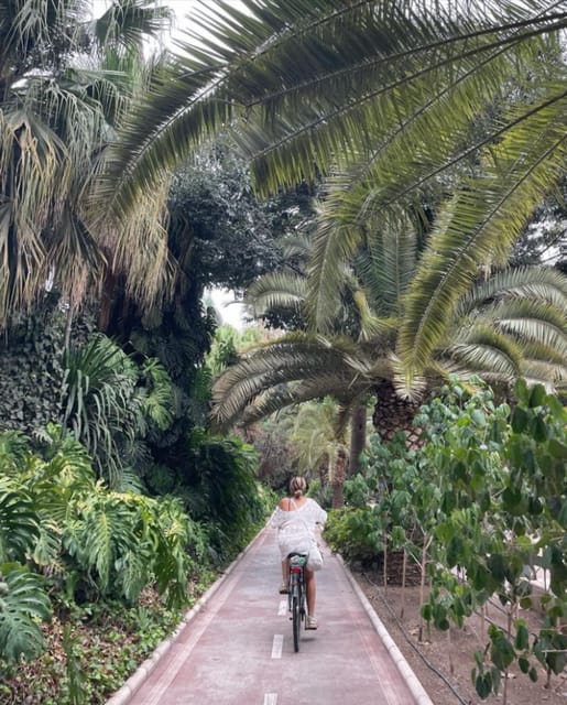 Malaga: Castle Hill and Fisherman Village E-Bike Tour - What the e-bikes are really like