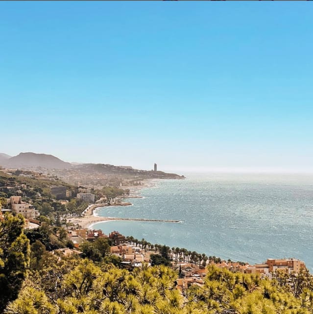 Malaga: Castle Hill and Fisherman Village E-Bike Tour - The guides make the difference