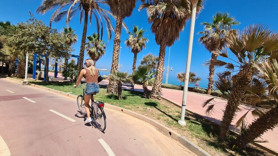 Malaga: City Bike Rental with Self-Guided Cycling Route - West Through Soho and Along the Guadalmedina