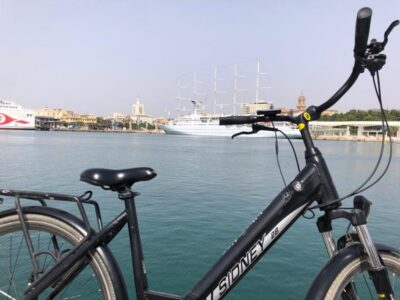 Electric Bike Rental
