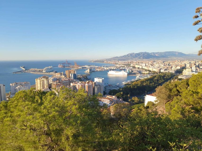 Malaga: Guided E-Bike Tour - Practical advice before you pedal