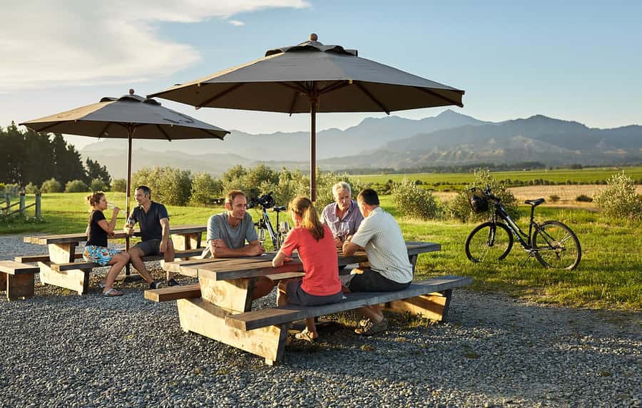 Marlborough: Full-Day Self-Guided Biking Wine Tour - Key points at a glance
