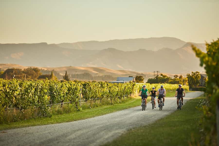 Marlborough: Full-Day Self-Guided Biking Wine Tour - Choosing your wineries without wasting the day