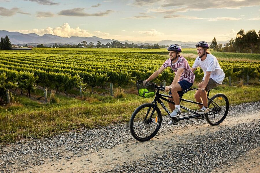 Marlborough: Full-Day Self-Guided Biking Wine Tour - Booking details that matter
