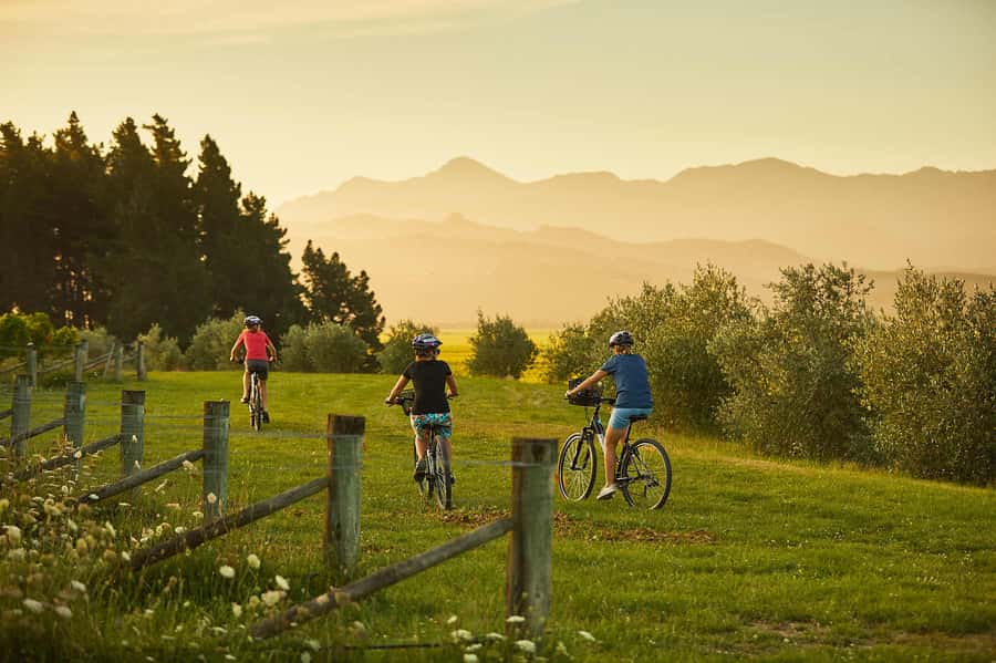 Marlborough: Half Guided and Half Self-Guided Bike Wine Tour - Key points to know before booking