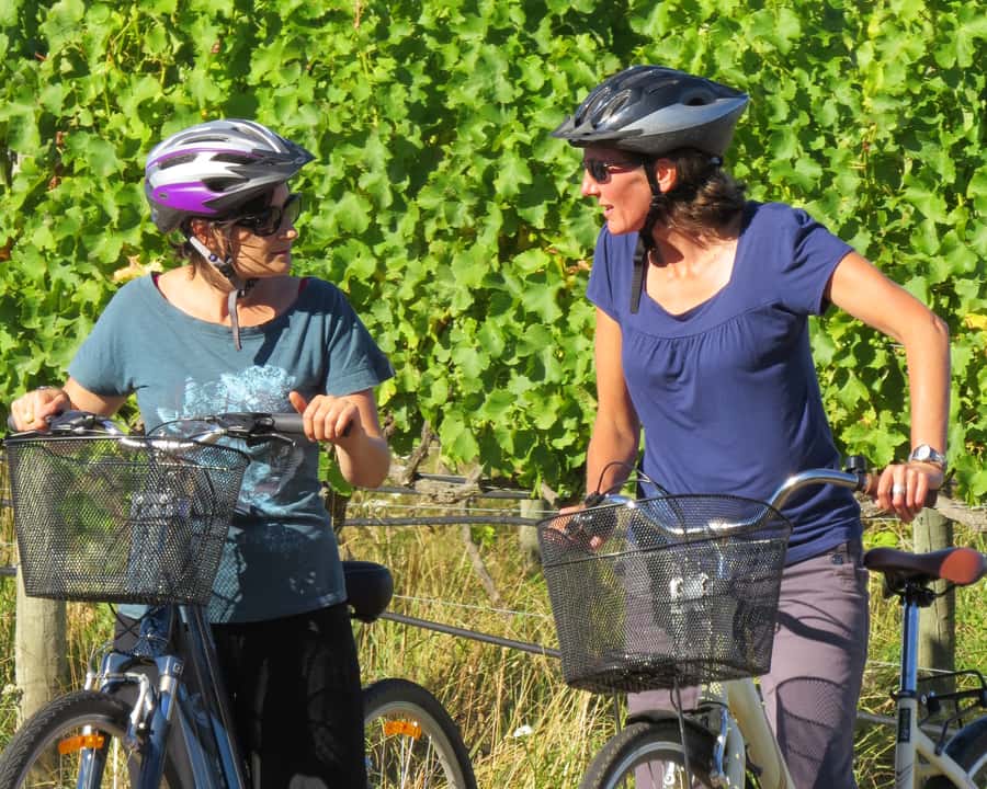 Marlborough: Half Guided and Half Self-Guided Bike Wine Tour - Why the half-guided format works in Marlborough