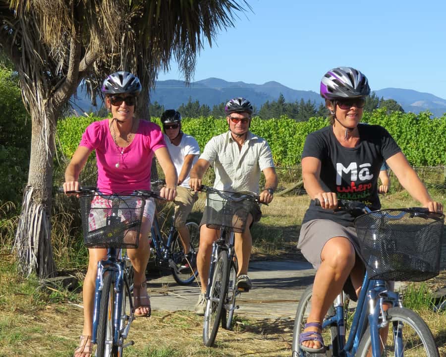 Marlborough: Half Guided and Half Self-Guided Bike Wine Tour - Three wineries with a guide who knows the area