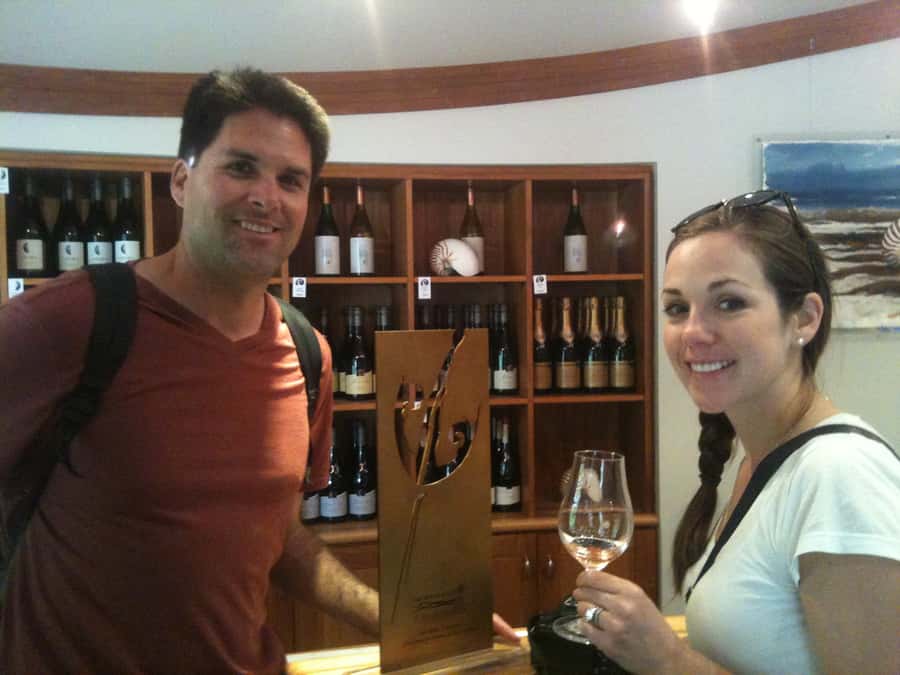 Marlborough: Half Guided and Half Self-Guided Bike Wine Tour - Is $110 good value?