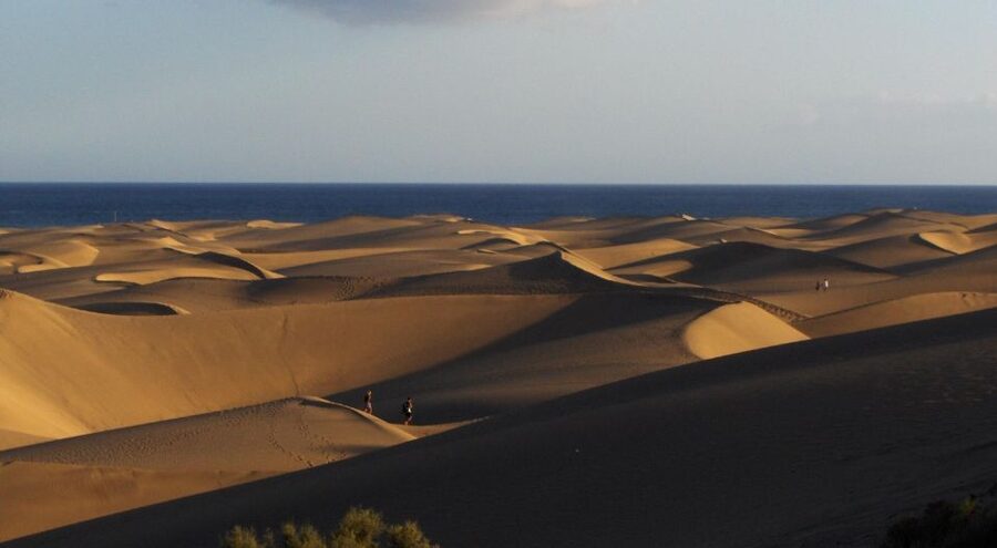 Maspalomas: Rent 4 or 8 hours untill 7-Day Mountain Bike - What the map and support really provide