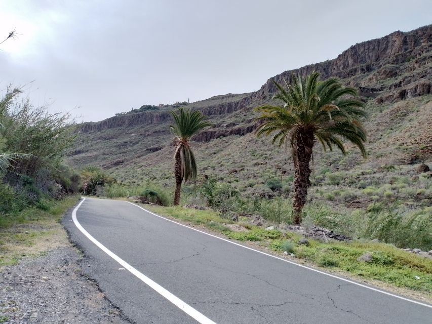 Maspalomas: Southern Coast E-Bike Tour Option Tapas Tasting - Maspalomas Dunes: a small desert beside the resort