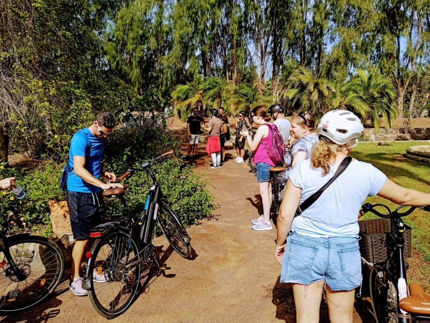 Maspalomas: Southern Coast E-Bike Tour Option Tapas Tasting - A southern banana plantation in the middle of the ride