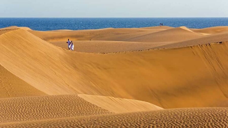 Maspalomas: Southern Coast E-Bike Tour Option Tapas Tasting - Botanical gardens and a closer look at island plants